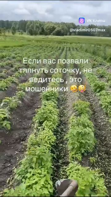 Тянуть соточку!)