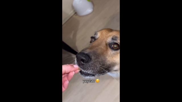 все говорят что злая