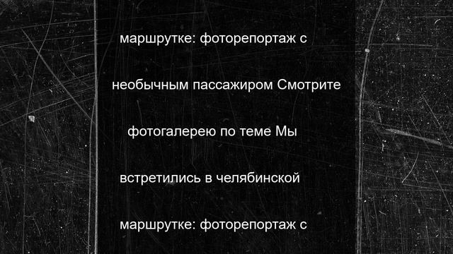 Приметы на Знамения Тимофея: что нельзя делать 23 июня 2025 года