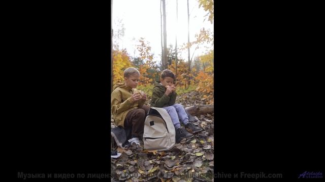 Когда единственный правильный маршрут - тот, где звучит эта песня - Illusions Part 1 -- Vulpiano Rec