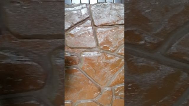 VID_20250623_160101.mp4