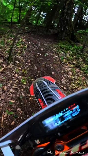 #покатушки #enduro #sharmax #эндуро #progasi #ataki #shorts