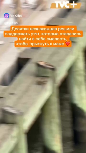 ww