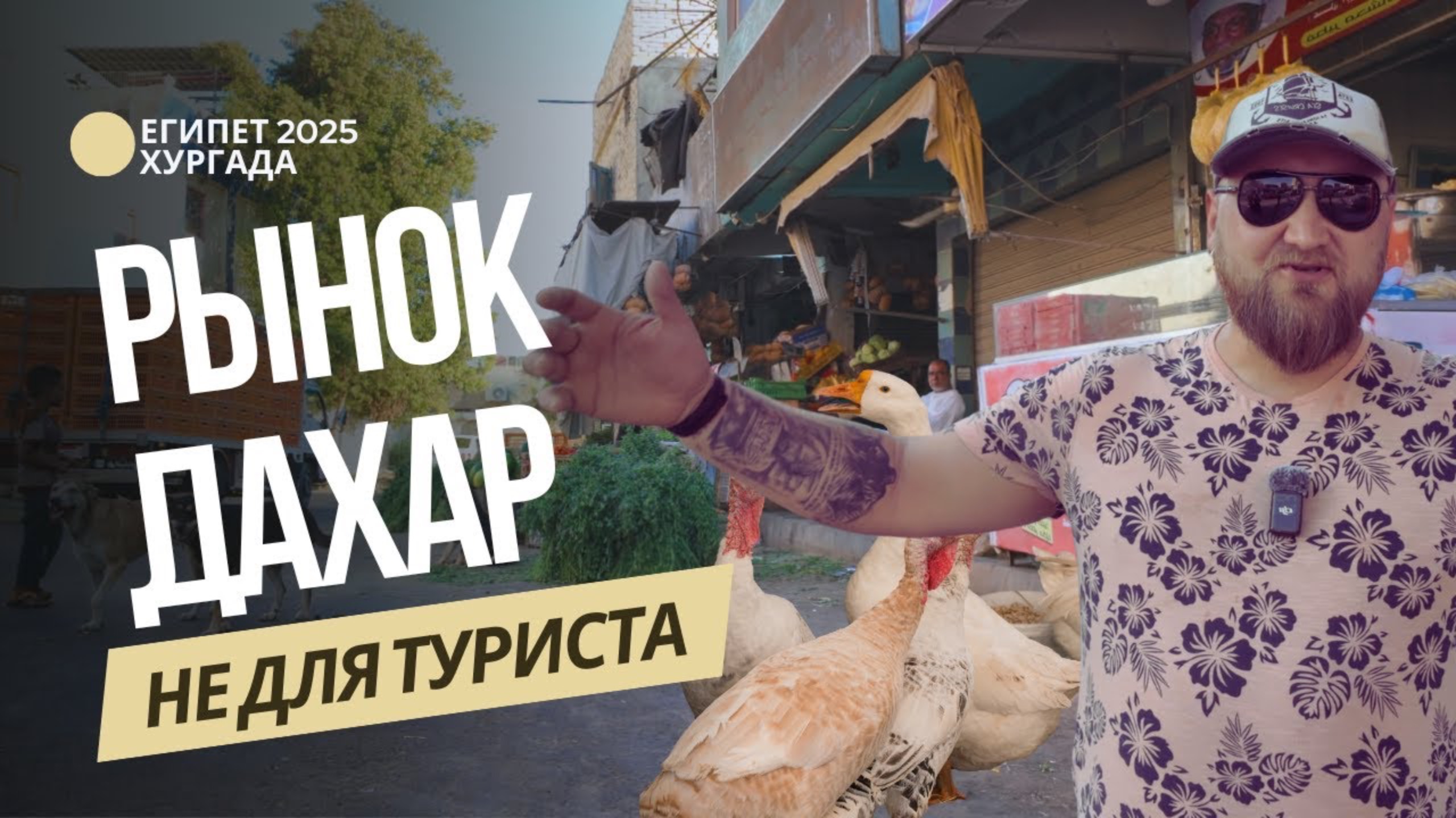 🤯 СКРЫТЫЙ РЫНОК ДАХАР | ТЫ ОБЯЗАН ЭТО УВИДЕТЬ | НЕ ТУРЕСТИЧЕСКИЙ ЕГИПЕТ | Где закупаются местные?