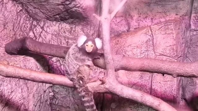1000005963.mp4
