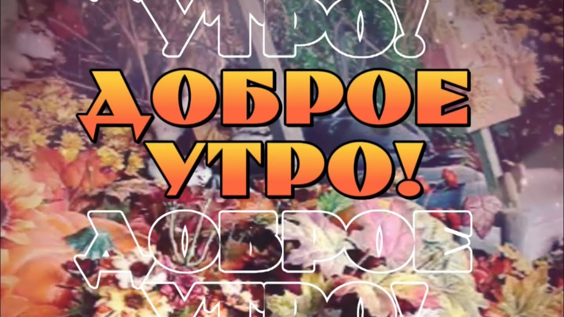 Доброе утро☕️🍁☕️🍁☕️