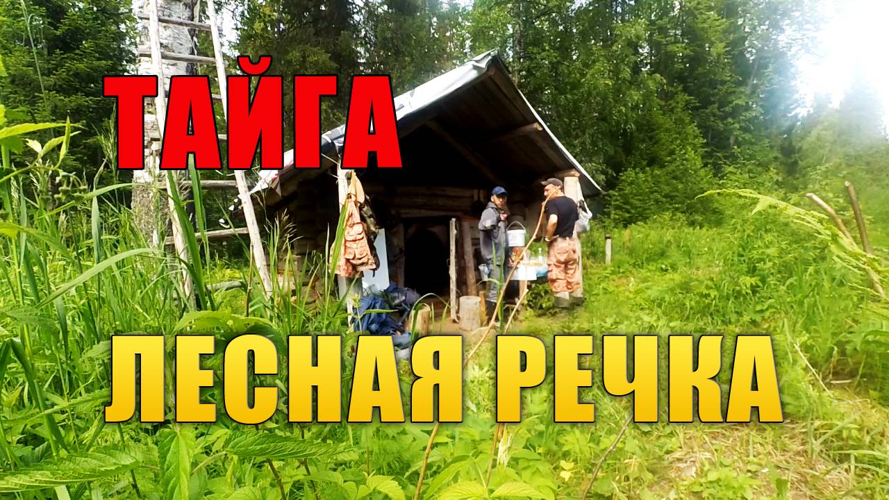 Рыбалка на лесной речке.