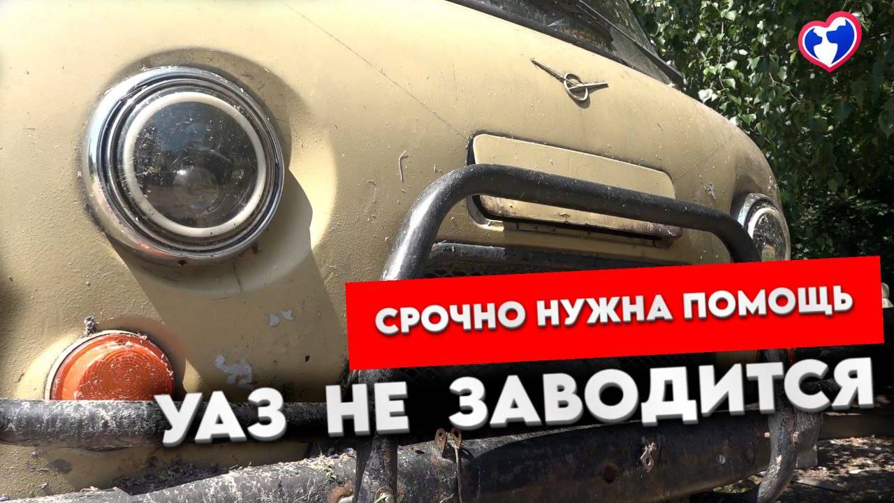 СРОЧНО! Лосятам Бене и Сержику нужна помощь — УАЗ не заводится