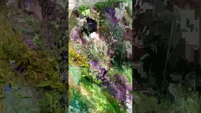 паркур 2