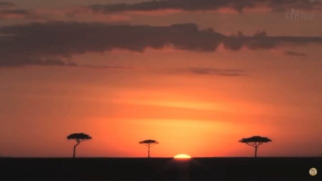 почему Африка бедная

Крамола

29 мая 2023 г.