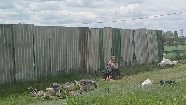 МЫ НАРКОМАНЫ. ТРУДОГОЛИКИ МЫ