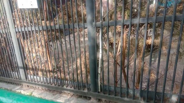 video_20250622_175150
