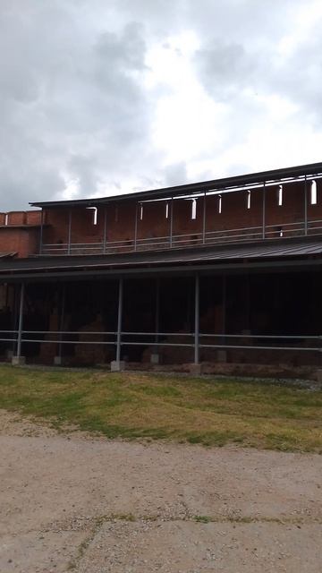 Великий Новгород (Россия), Кремль. 13 июня 2025.