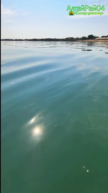 Приятное путешествие к теплому берегу: пляж, соленые волны и солнечные лучи.