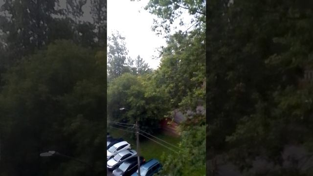VID_20250619_204004.mp4