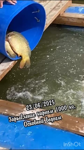 23-06-2025