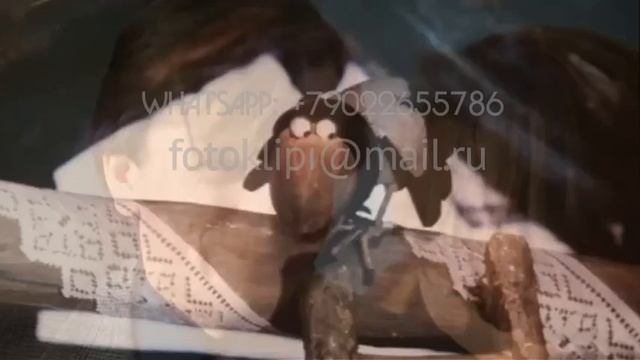 Серебряная свадьба 25 лет вместе, создать видео поздравление