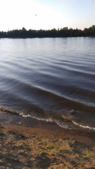 Река Нева, окраина Петербурга, 22 июня 2025.