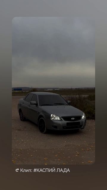 Серая бестия 🩶🌹😈💣