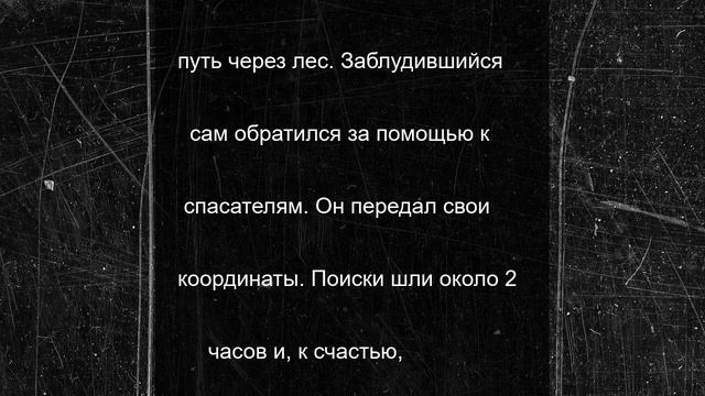 Пенсионера, потерявшегося в лесу, нашли в Подмосковье