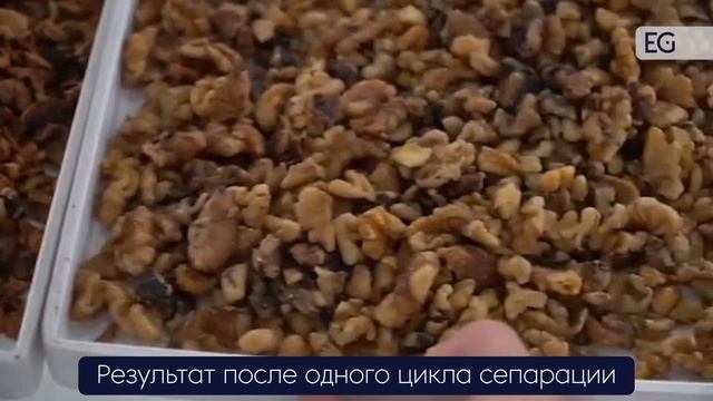 Фотосепаратор вертикальный для ореха NI-1