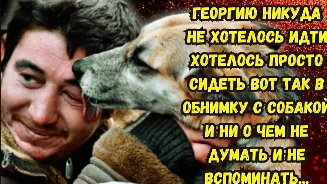 Истории из жизни. ПРЕДАТЕЛЬ. Аудио рассказ. Жизненные истории