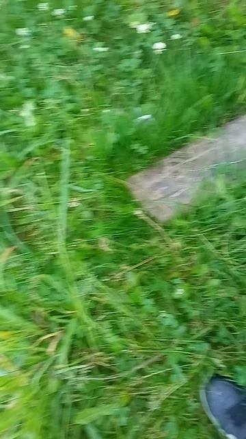 1000007647.mp4