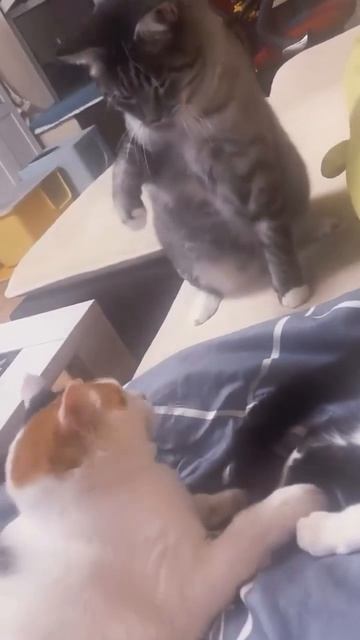 Не спать