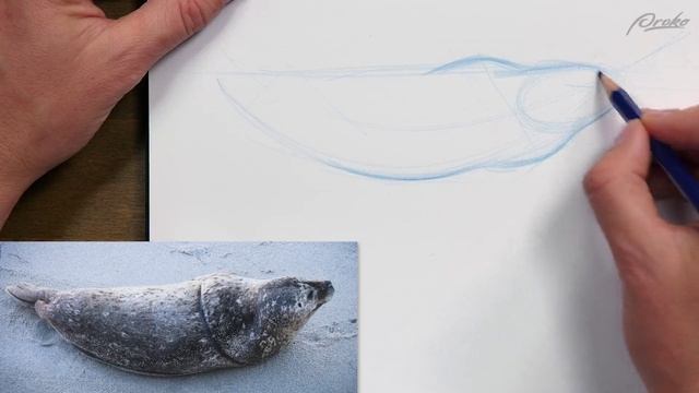 58. demo-dynamic-shapes-from-reference