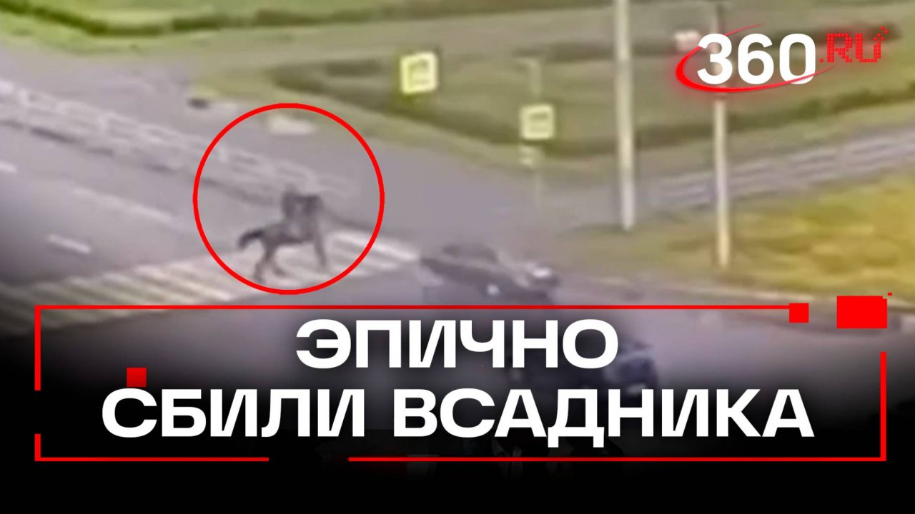 Всадника сбили прямо на лошади. ЧП в Магнитогорске