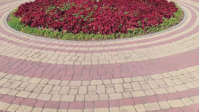 Утренняя прогулка Анапа 23.06.2025