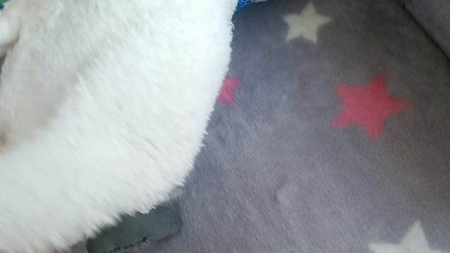 1000000218.mp4