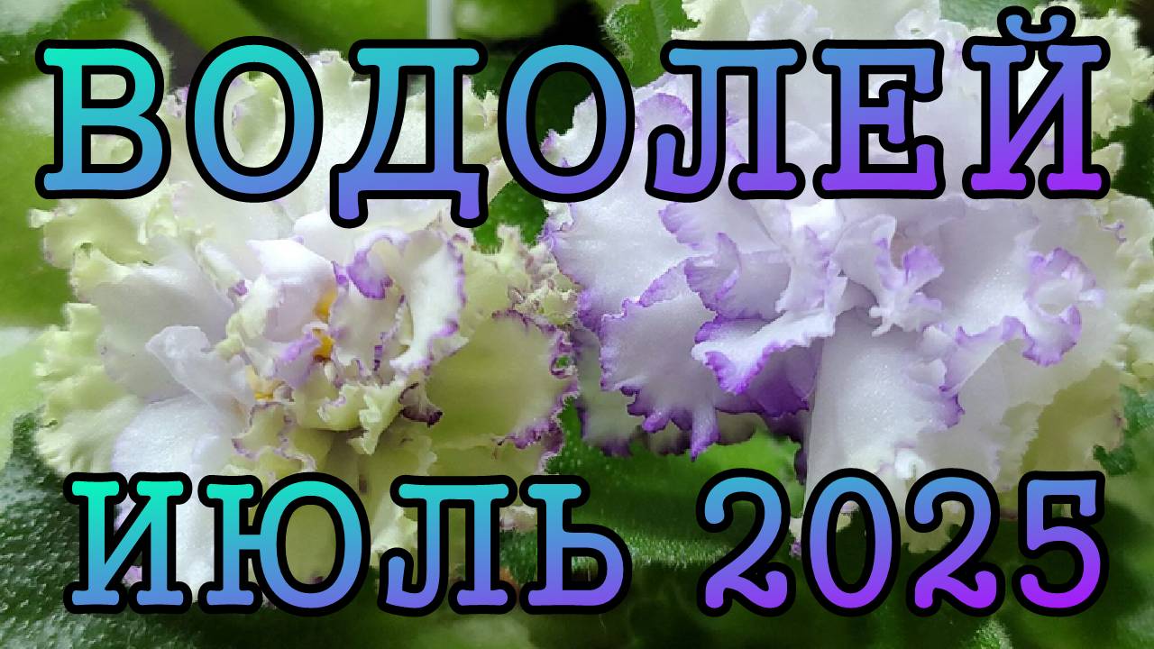 ВОДОЛЕЙ таро прогноз на ИЮЛЬ 2025 года.