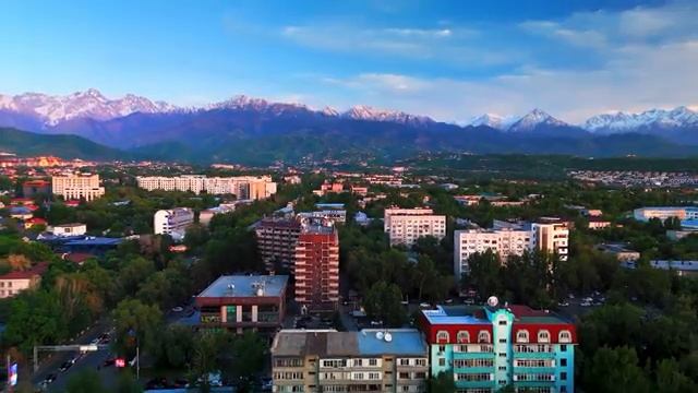 Гармония природы под музыку ветра и листьев – Часть 16