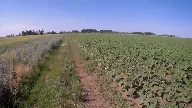 Покатушки на природу №43.😊