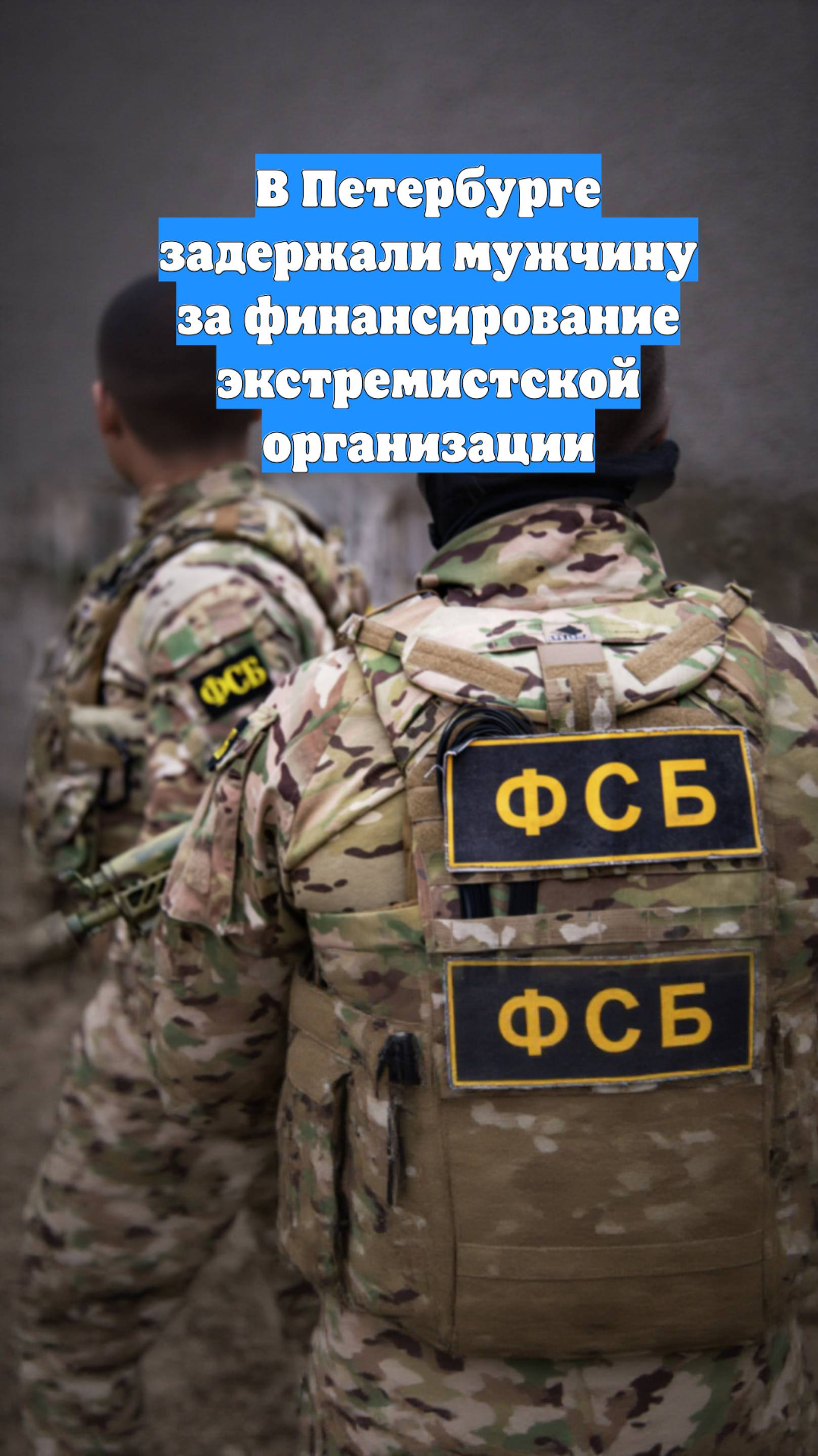 В Петербурге задержали мужчину за финансирование экстремистской организации