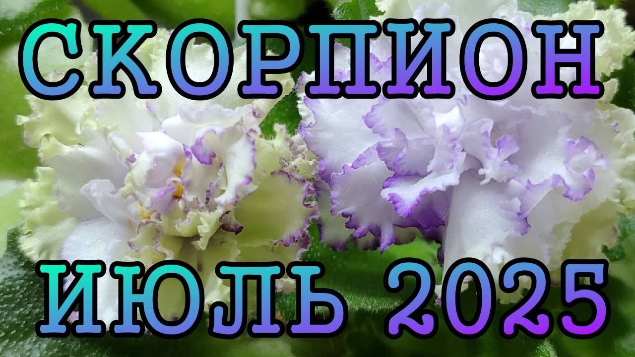 СКОРПИОН таро прогноз на ИЮЛЬ 2025 года.