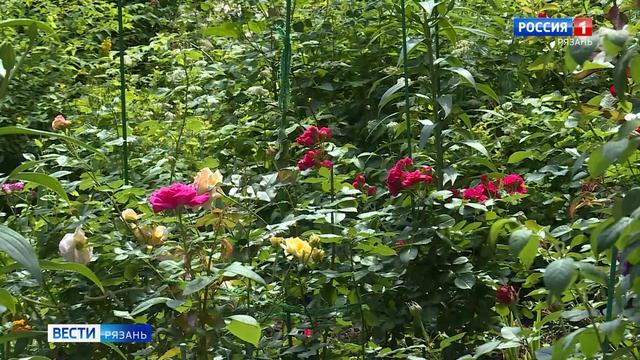 Эфир от 23.06.2025 (09:30)