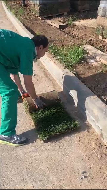 Производитель рулонного газона - Зеленый двор