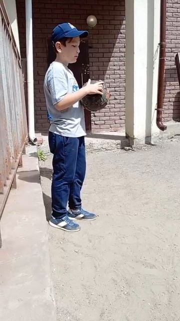 кто выше подкинул мяч?