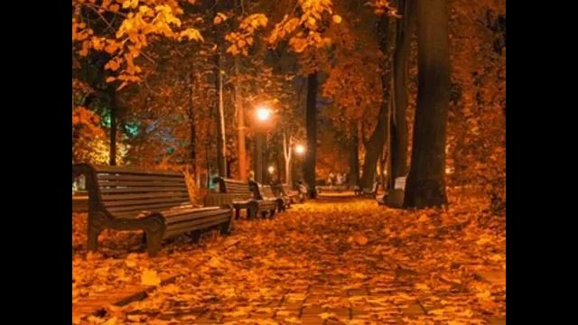 Осень и зима самые сказочные , волшебные и атмосферные времена года.❤🧡💛🍁🍂🌧☔🎄💙💚❄🌨❄ .mp4