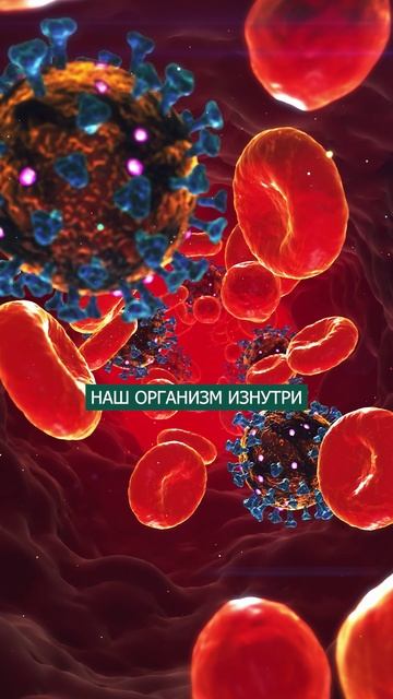 ЭТО ГЛАВНАЯ причина болезни! #здоровье #организм #болезни