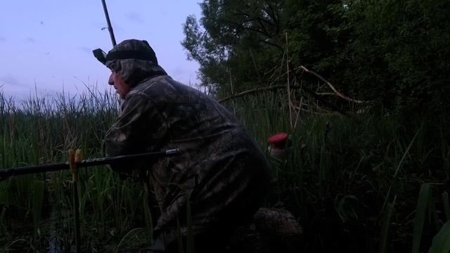 ЛИНЬ 1.2 КГ