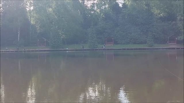 Утренний обзор с нижнего водоёма. Клёвое место, Лосиный остров.