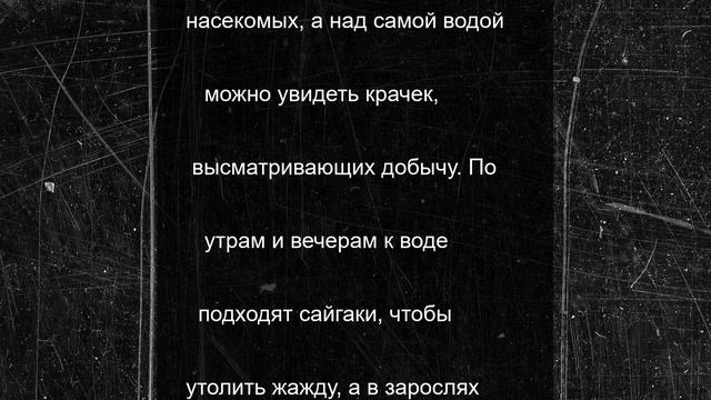 В Калмыкии рассказали про степные оазисы с привкусом соли