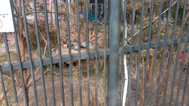 video_20250622_174050