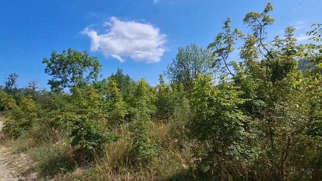 Геленджик. Этажи. с.Виноградное. Об.8894007
