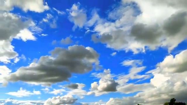 Спокойное дыхание земли под музыку лесной гармонии - Часть 23