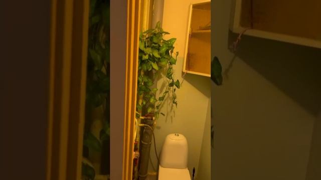 Долгосрочная аренда в Балаково
8 927 225 70 71