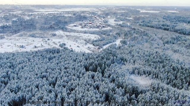 Мелодия раскрывает тайные тропы в сердце лесов - Рок-звезда с тихим голосом -- Александр Недугин --